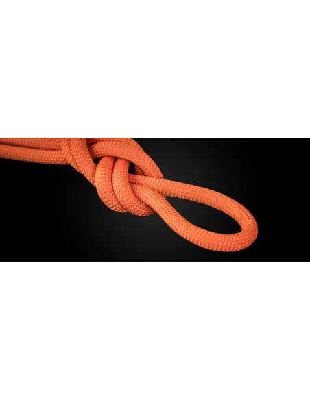 Cousin - Dura Dura 9.5